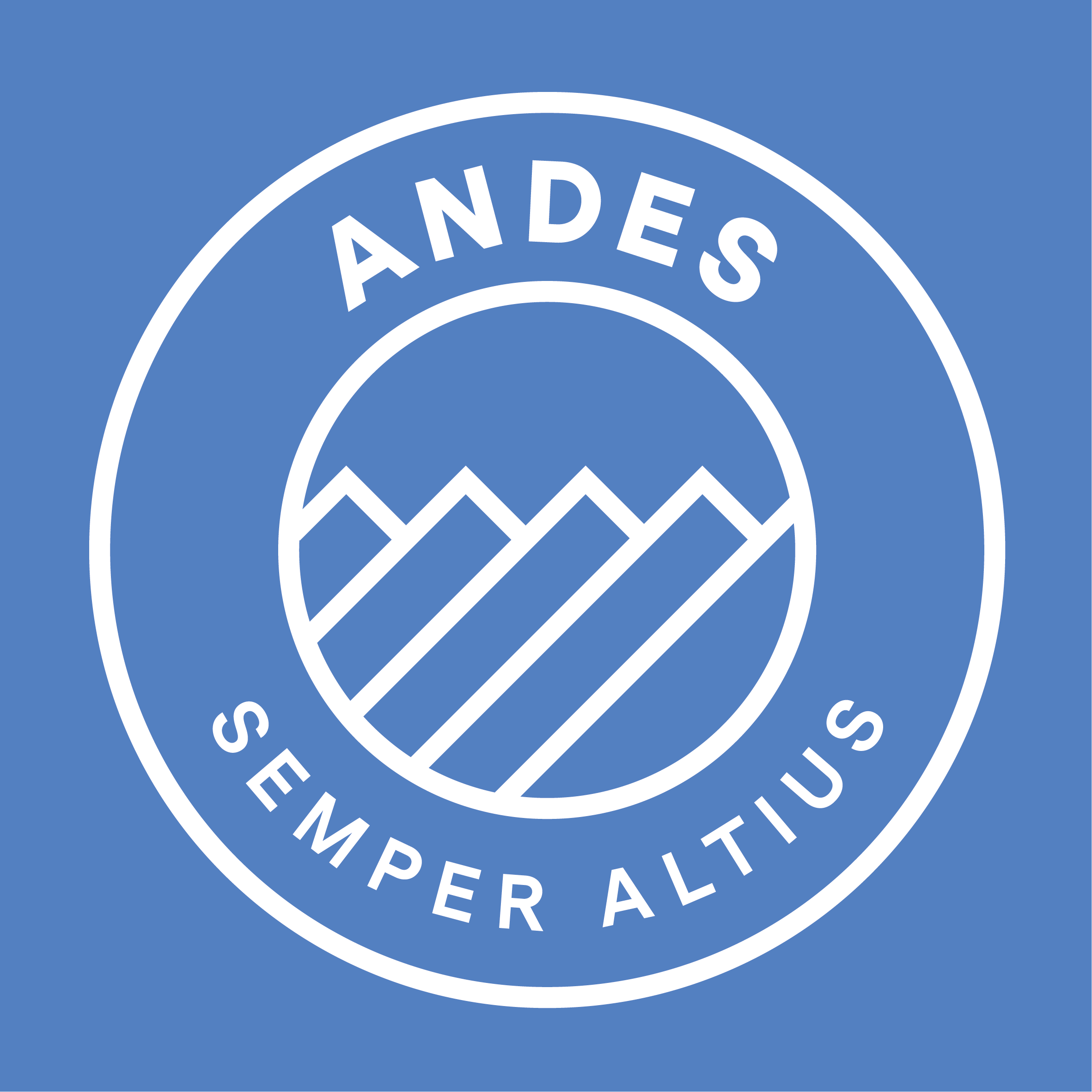 Juan Pérez | Instituto Andes